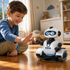 CADY WISH RC Robot