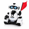 CADY WISH RC Robot