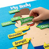 SENSORY LEARNING BOARD