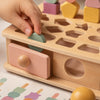 Montessori Wooden Sorting